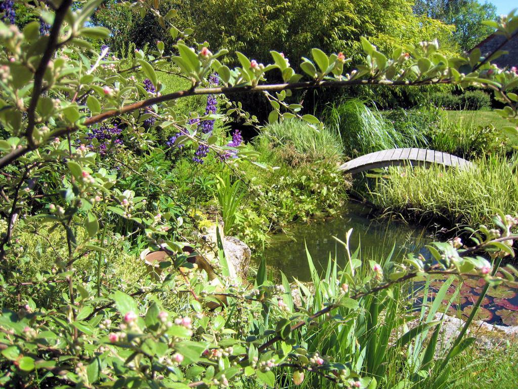 La Clef Des Champs Bed and Breakfast La Roche-en-Brenil Exterior foto
